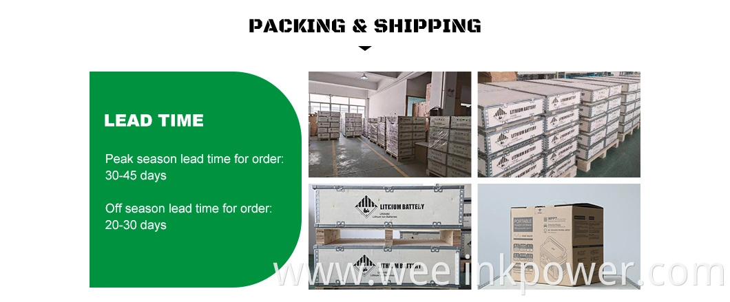 Weelink on/off Split Phase High Efficiency Hybrid Solar RS485 Inverter